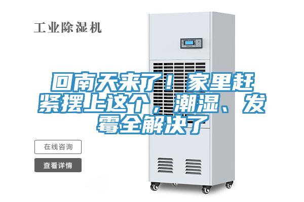 回南天來了！家裏趕緊擺上這個，潮濕、發黴全解決了