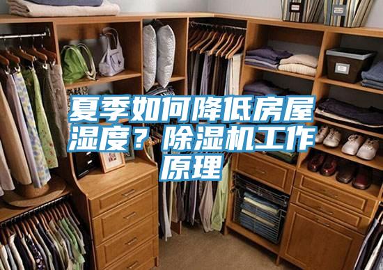 夏季如何降低房屋濕度？好色先生在线播放工作原理