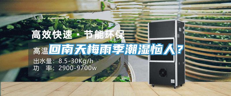 回南天梅雨季潮濕惱人？