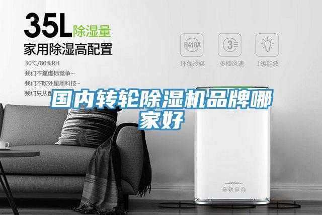 國內轉輪好色先生在线播放品牌哪家好