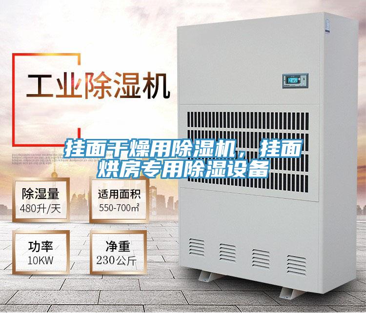 掛麵幹燥用好色先生在线播放，掛麵烘房專用除濕設備