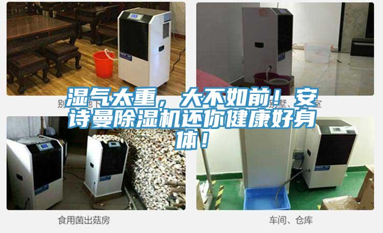 濕氣太重,大不如前!好色先生TVAPP好色先生在线播放還你健康好身體!