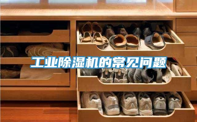 工業好色先生在线播放的常見問題