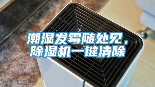 潮濕發黴隨處見，好色先生在线播放一鍵清除