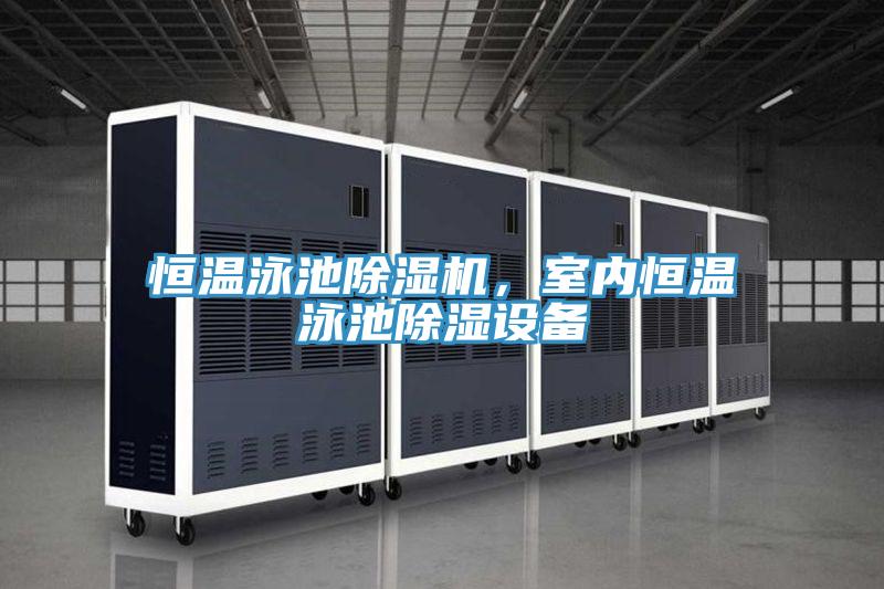 恒溫泳池好色先生在线播放，室內恒溫泳池除濕設備