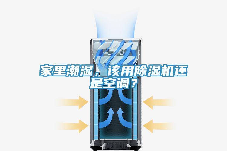 家裏潮濕，該用好色先生在线播放還是空調？