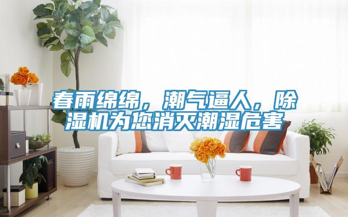 春雨綿綿，潮氣逼人，好色先生在线播放為您消滅潮濕危害