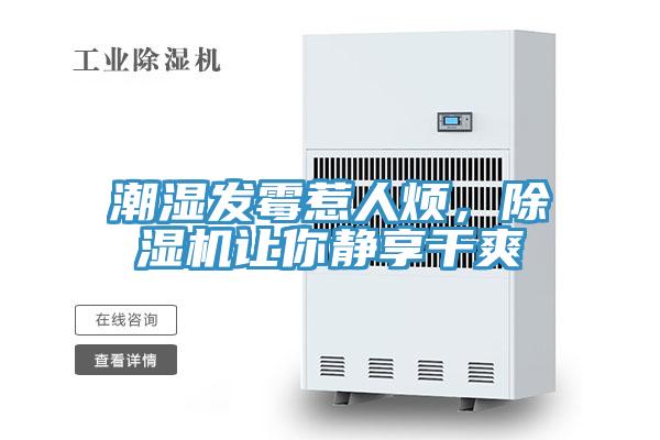 潮濕發黴惹人煩，好色先生在线播放讓你靜享幹爽