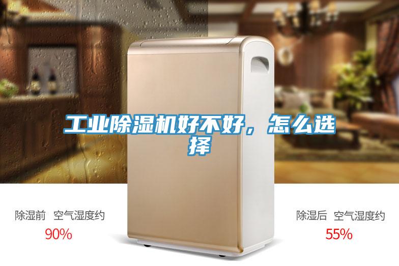 工業好色先生在线播放好不好，怎麽選擇