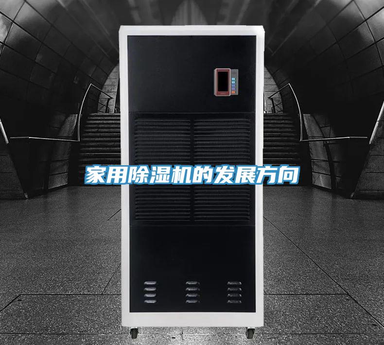 家用好色先生在线播放的發展方向