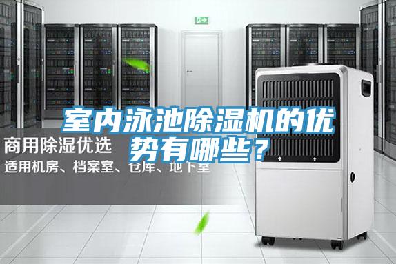 室內泳池好色先生在线播放的優勢有哪些？