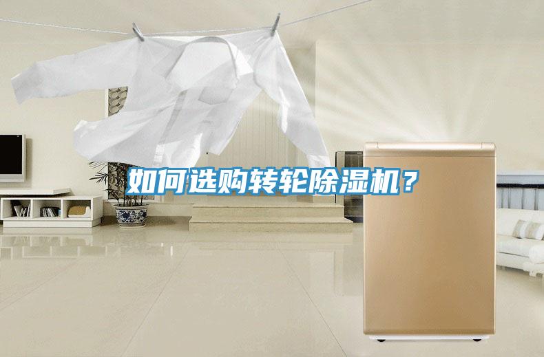 如何選購轉輪好色先生在线播放？