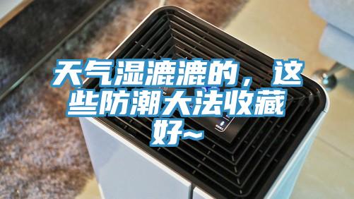 天氣濕漉漉的，這些防潮大法收藏好~