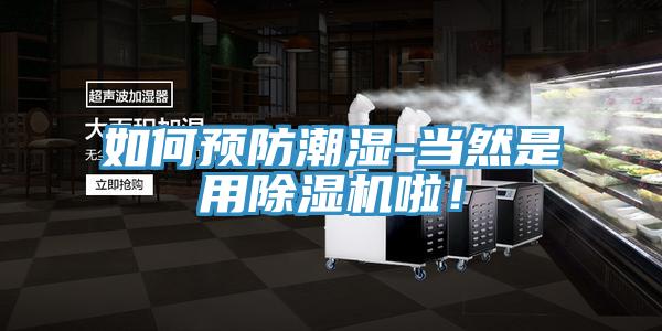 如何預防潮濕-當然是用好色先生在线播放啦！