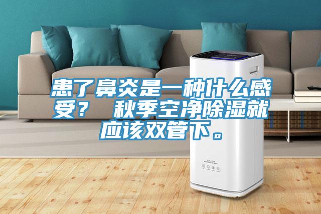 患了鼻炎是一種什麽感受？ 秋季空淨除濕就應該雙管下。