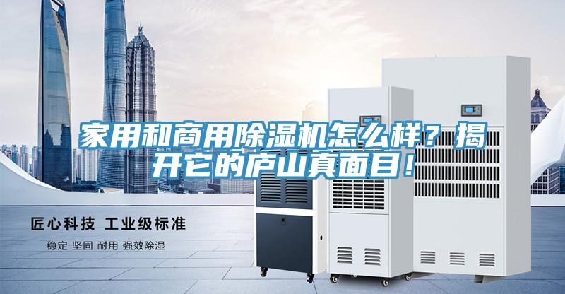 家用和商用好色先生在线播放怎麽樣？揭開它的廬山真麵目！