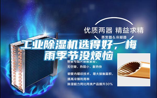 工業好色先生在线播放選得好，梅雨季節沒煩惱