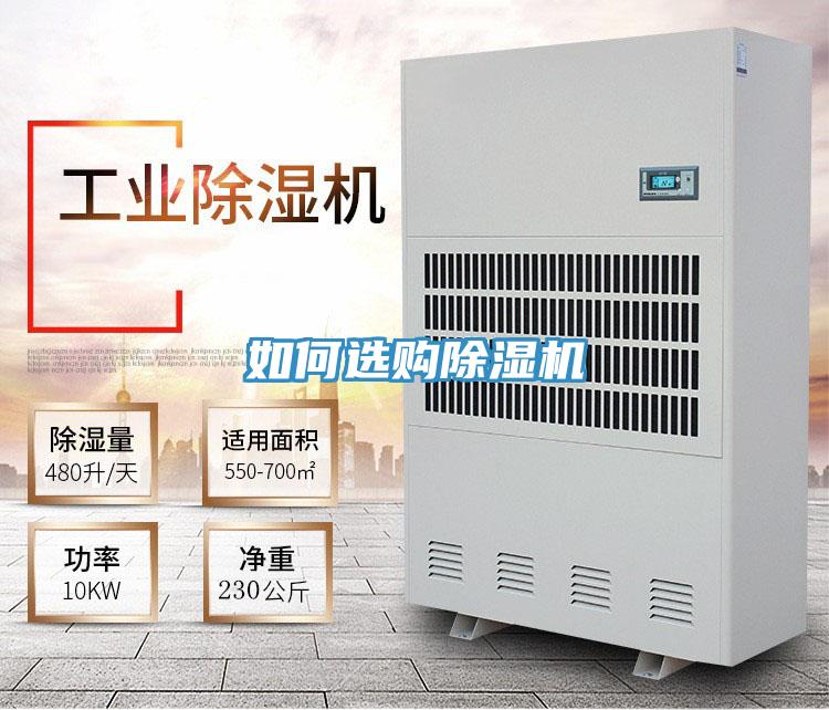 如何選購好色先生在线播放