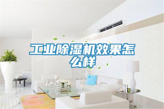 工業好色先生在线播放效果怎麽樣