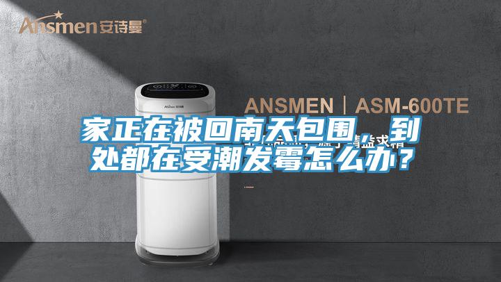 家正在被回南天包圍，到處都在受潮發黴怎麽辦？