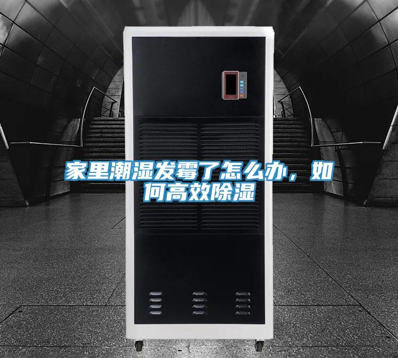 家裏潮濕發黴了怎麽辦，如何高效除濕