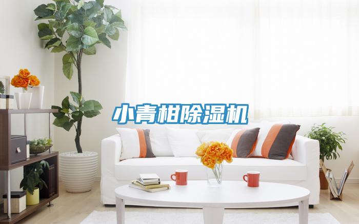 小青柑好色先生在线播放