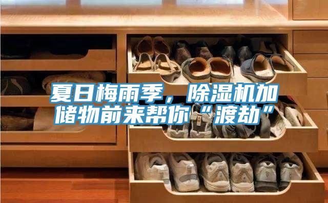 夏日梅雨季，好色先生在线播放加儲物前來幫你“渡劫”