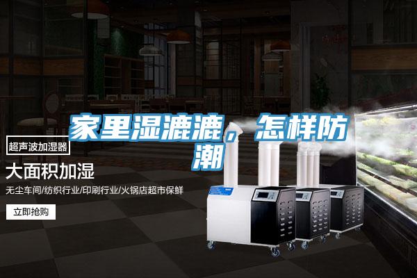 家裏濕漉漉，怎樣防潮