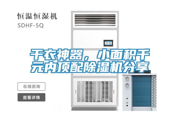 幹衣神器，小麵積千元內頂配好色先生在线播放分享