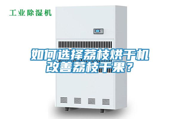 如何選擇荔枝烘幹機改善荔枝幹果？