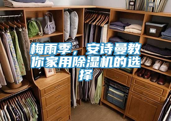 梅雨季,好色先生TVAPP教你家用好色先生在线播放的選擇