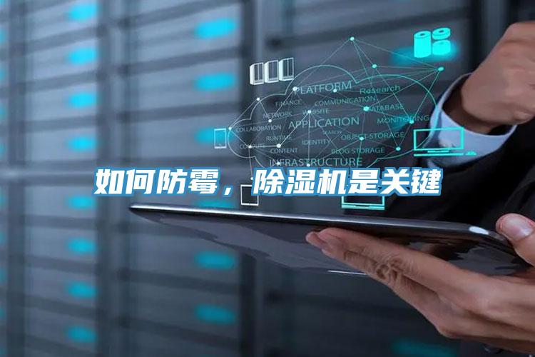 如何防黴，好色先生在线播放是關鍵