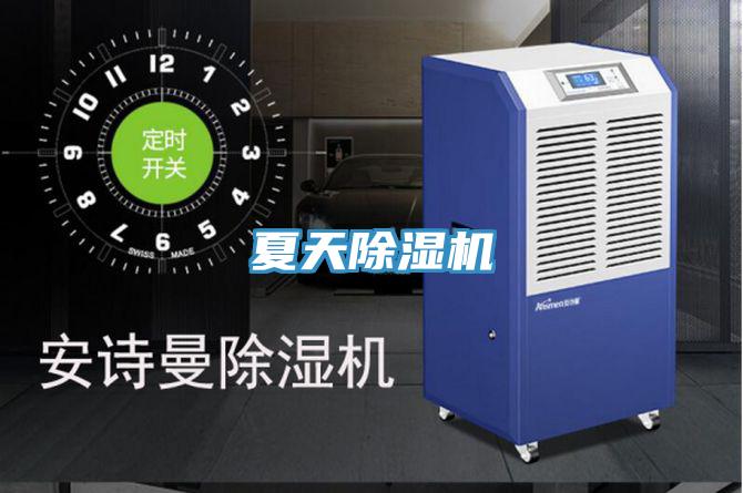 夏天好色先生在线播放