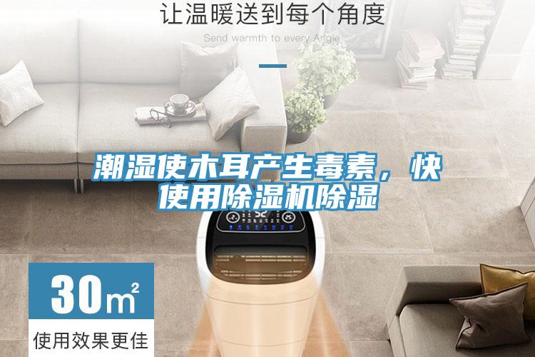 潮濕使木耳產生毒素,快使用好色先生在线播放除濕