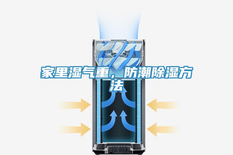 家裏濕氣重，防潮除濕方法
