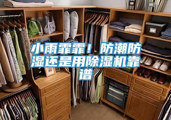 小雨霏霏！防潮防濕還是用好色先生在线播放靠譜