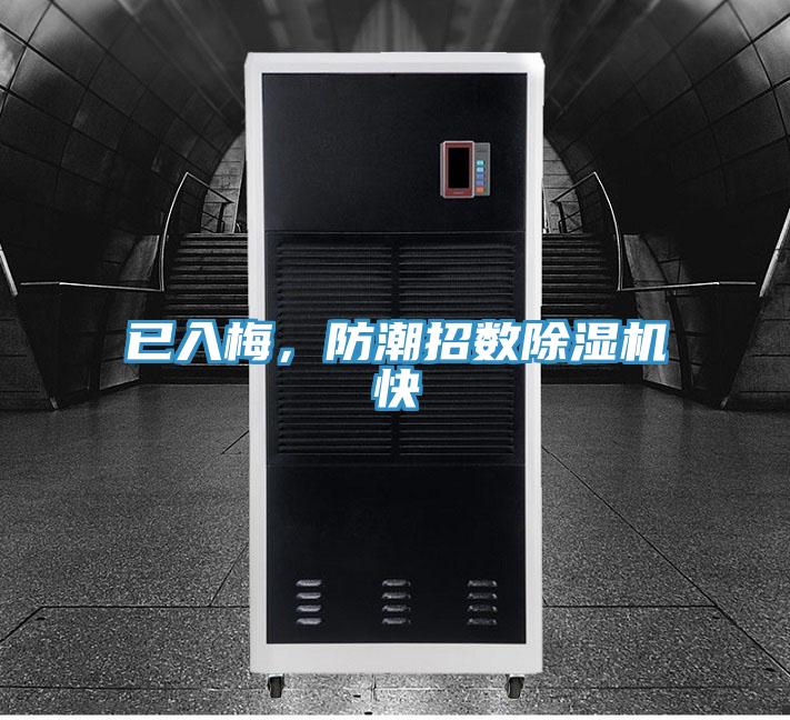 已入梅，防潮招數好色先生在线播放快