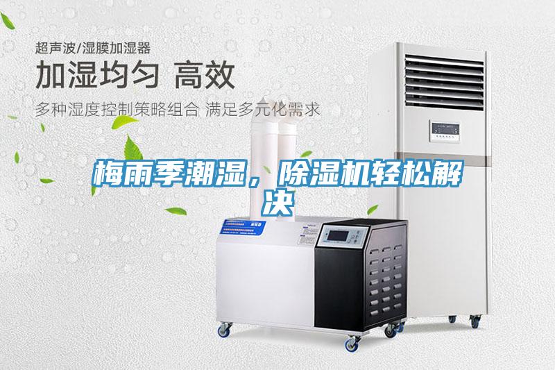 梅雨季潮濕，好色先生在线播放輕鬆解決