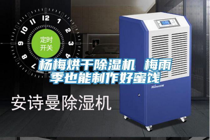 楊梅烘幹好色先生在线播放 梅雨季也能製作好蜜餞