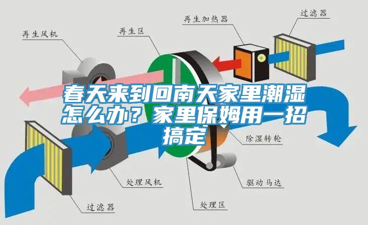 春天來到回南天家裏潮濕怎麽辦？家裏保姆用一招搞定
