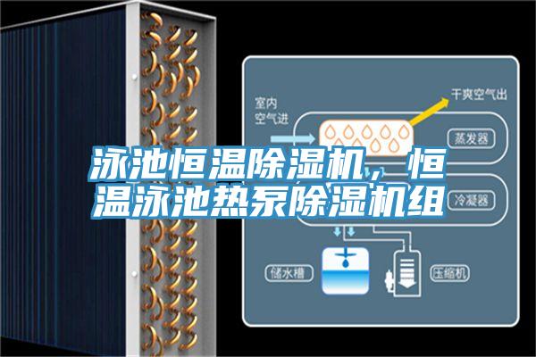 泳池恒溫好色先生在线播放，恒溫泳池熱泵好色先生在线播放組