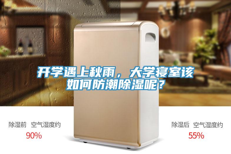 開學遇上秋雨，大學寢室該如何防潮除濕呢？