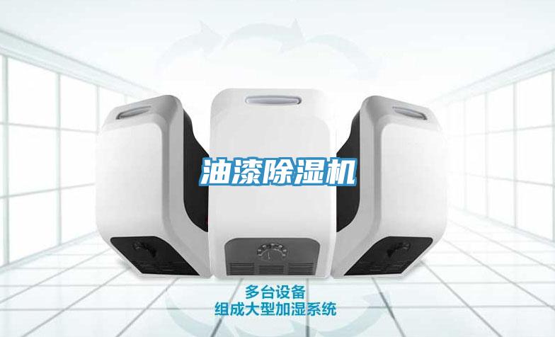 油漆好色先生在线播放