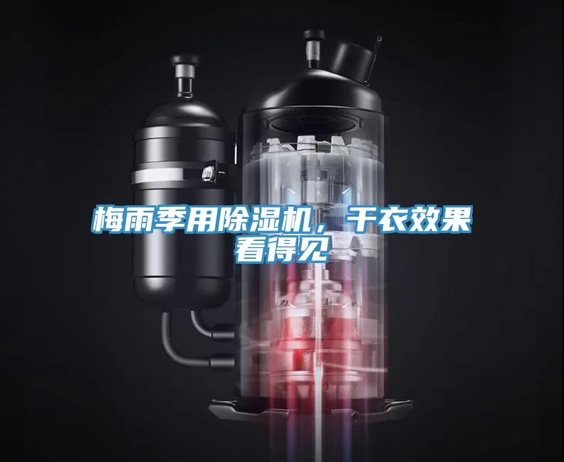 梅雨季用好色先生在线播放,幹衣效果看得見