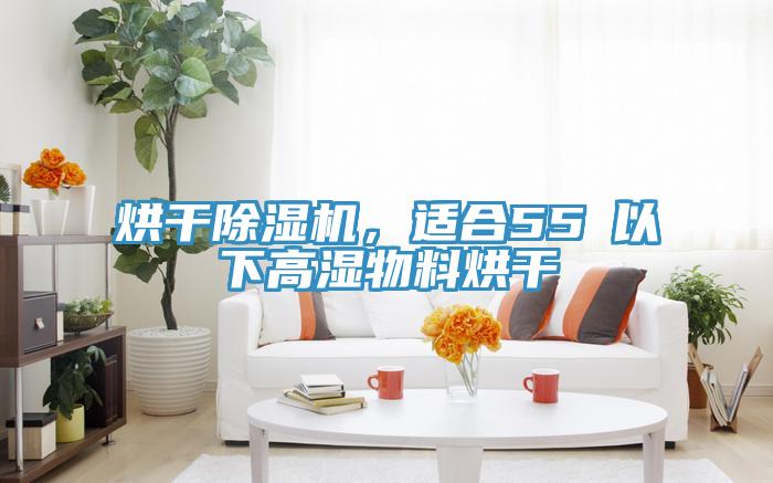 烘幹好色先生在线播放,適合55℃以下高濕物料烘幹