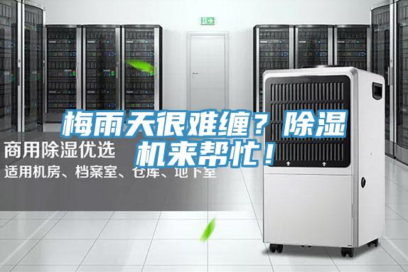 梅雨天很難纏?好色先生在线播放來幫忙!