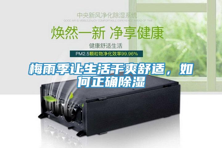 梅雨季讓生活幹爽舒適，如何正確除濕