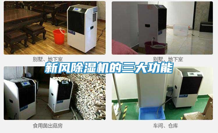 新風好色先生在线播放的三大功能