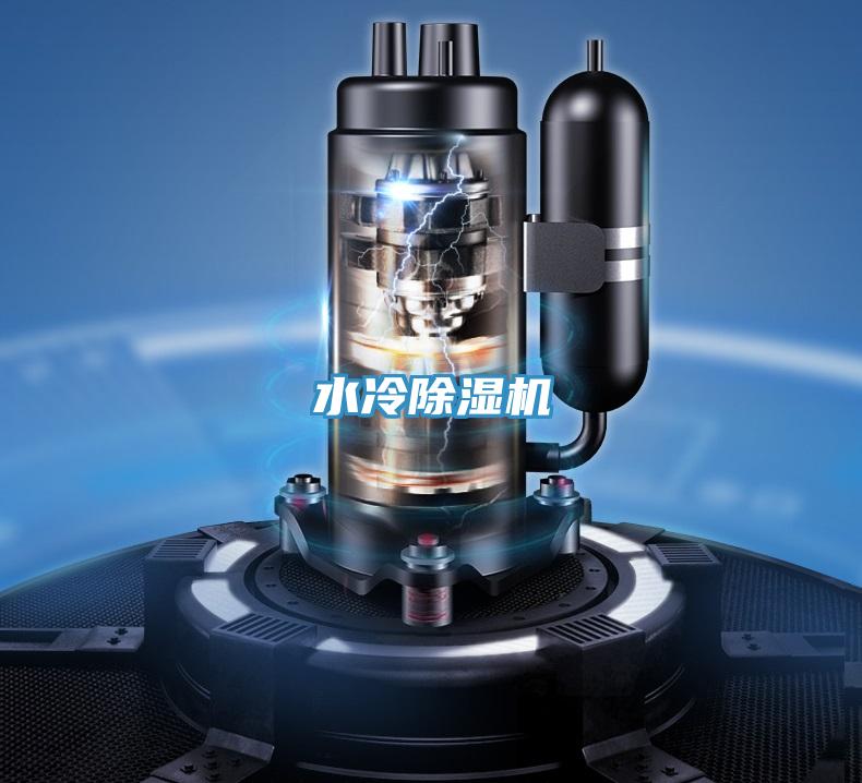 水冷好色先生在线播放