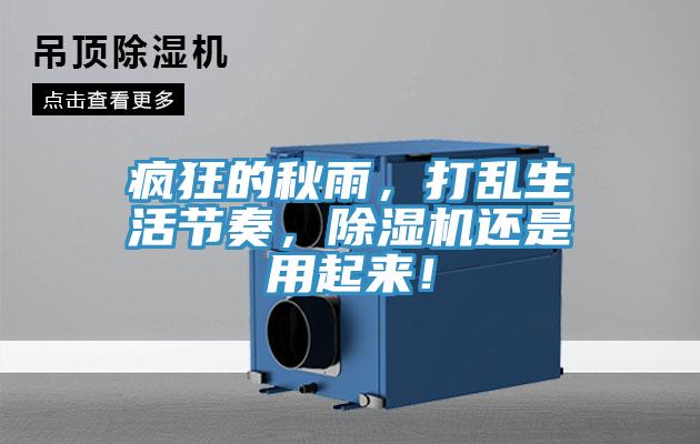 瘋狂的秋雨，打亂生活節奏，好色先生在线播放還是用起來！